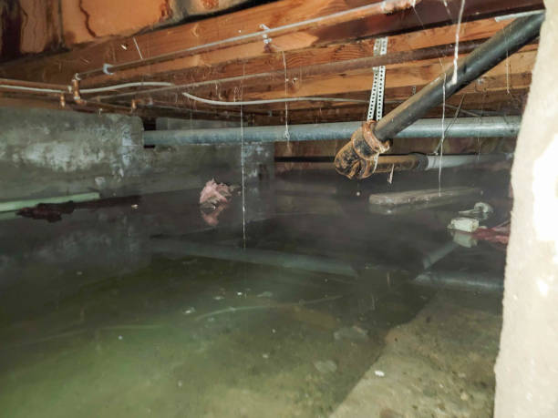 Best Local water damage restoration  in Belleville, PA
