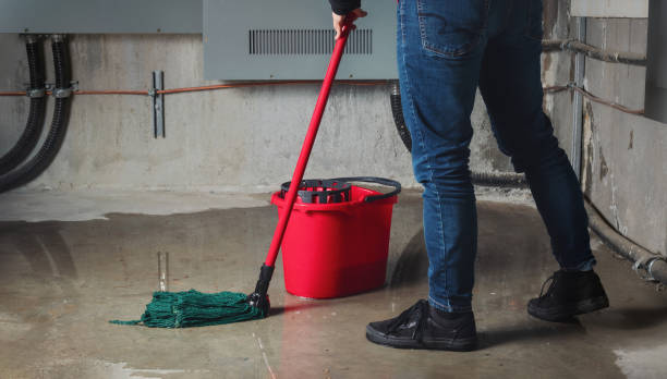 Best 24/7 water damage repair  in Belleville, PA