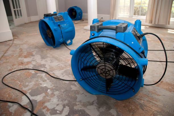 Best Flood damage cleanup  in Belleville, PA