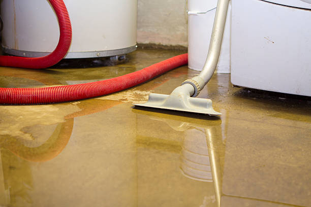 Best Basement water damage restoration  in Belleville, PA
